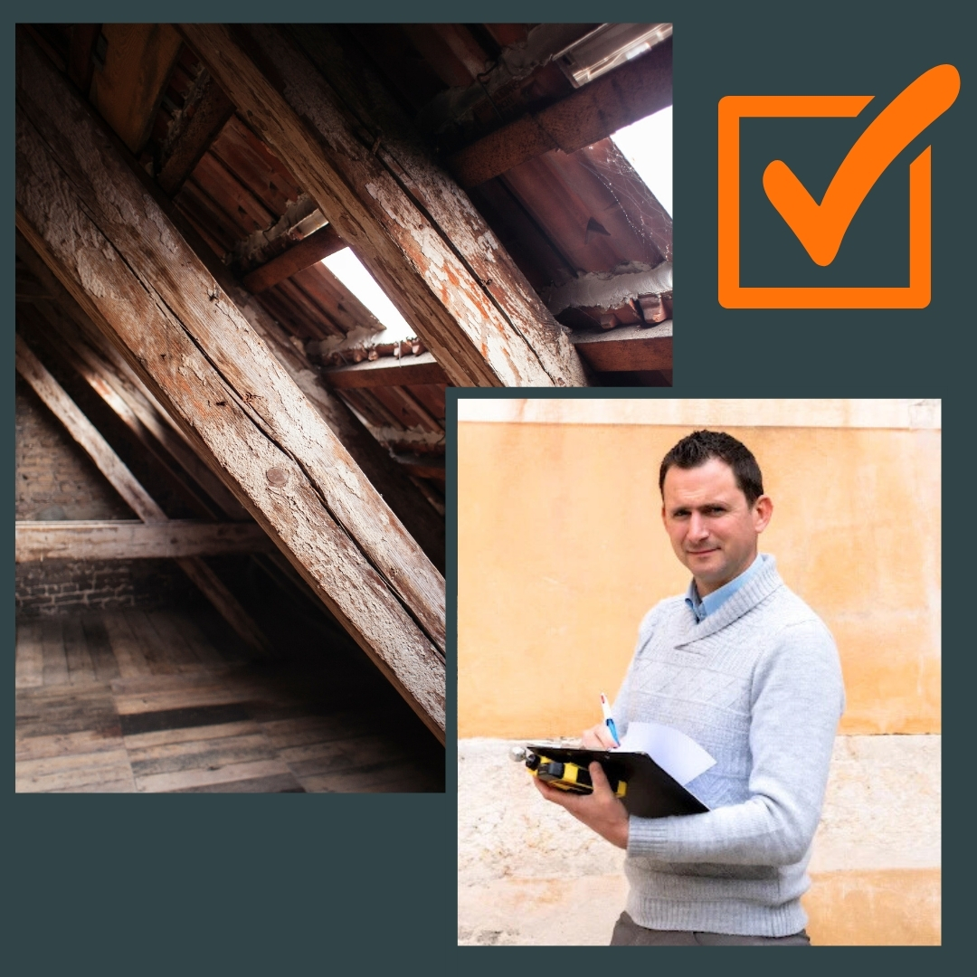 Expert immobilier charpente humide Var