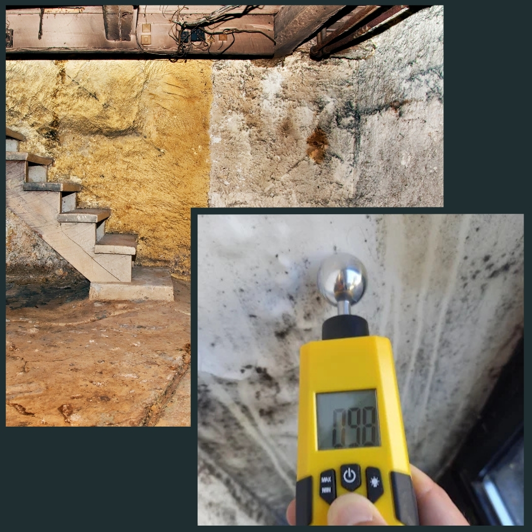 Expert bâtiment charpente humide Var