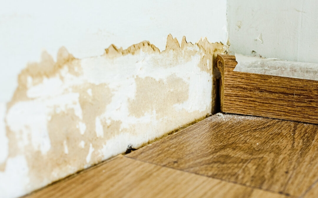 Humidité structure expert bâtiment Vidauban