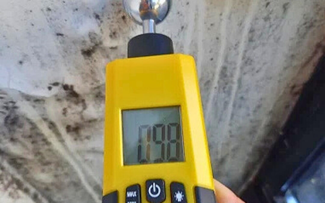 Expert bâtiment humidité détecteur Vidauban