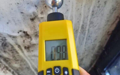 Certification OFIB : une formation exigeante