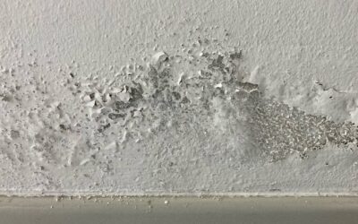 Humidité, infiltration ou remontées capillaires : comment reconnaître la vraie cause ?